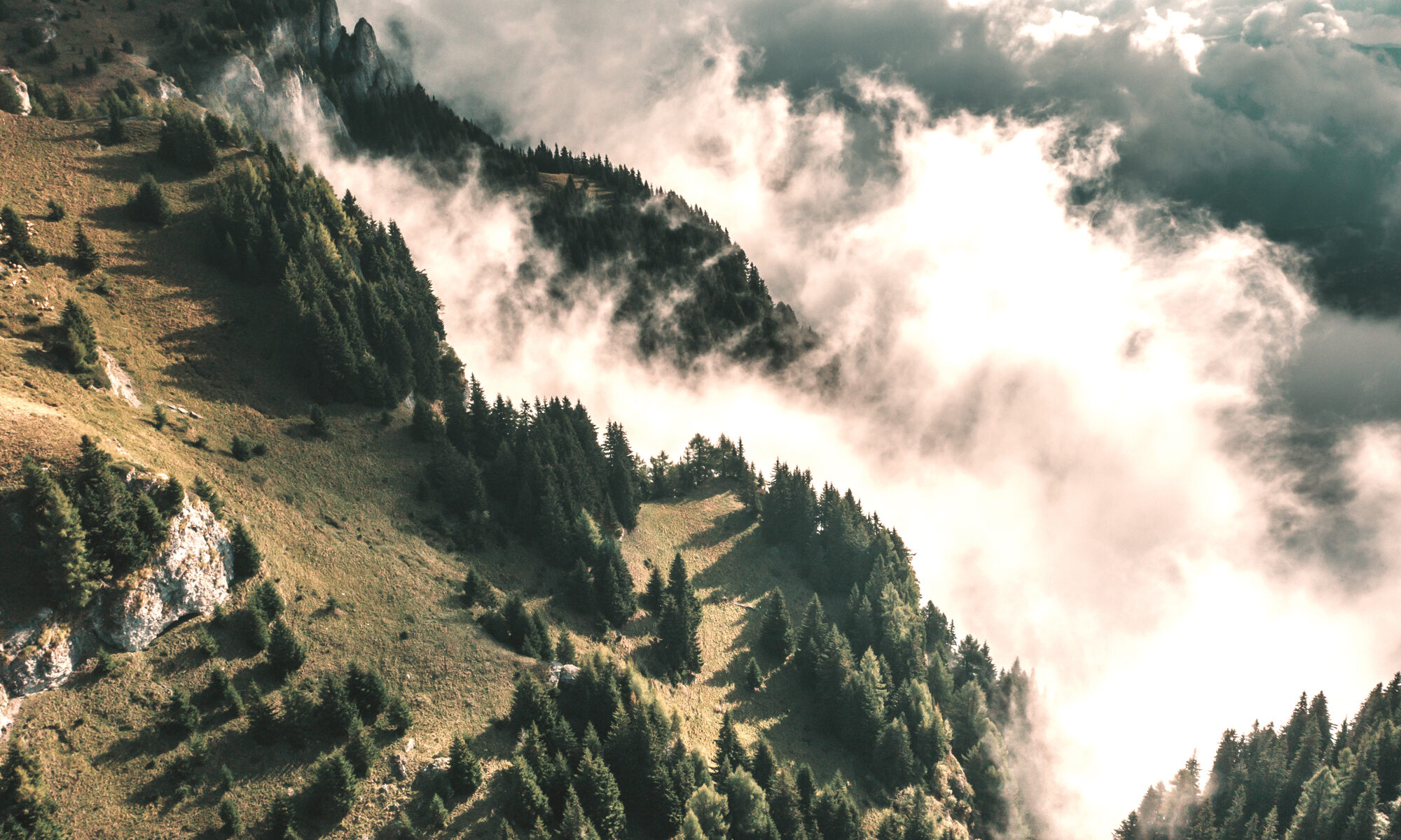 Alpinia Chalets Rasnov | Pasune Bucegi | Bucegi Pasture
